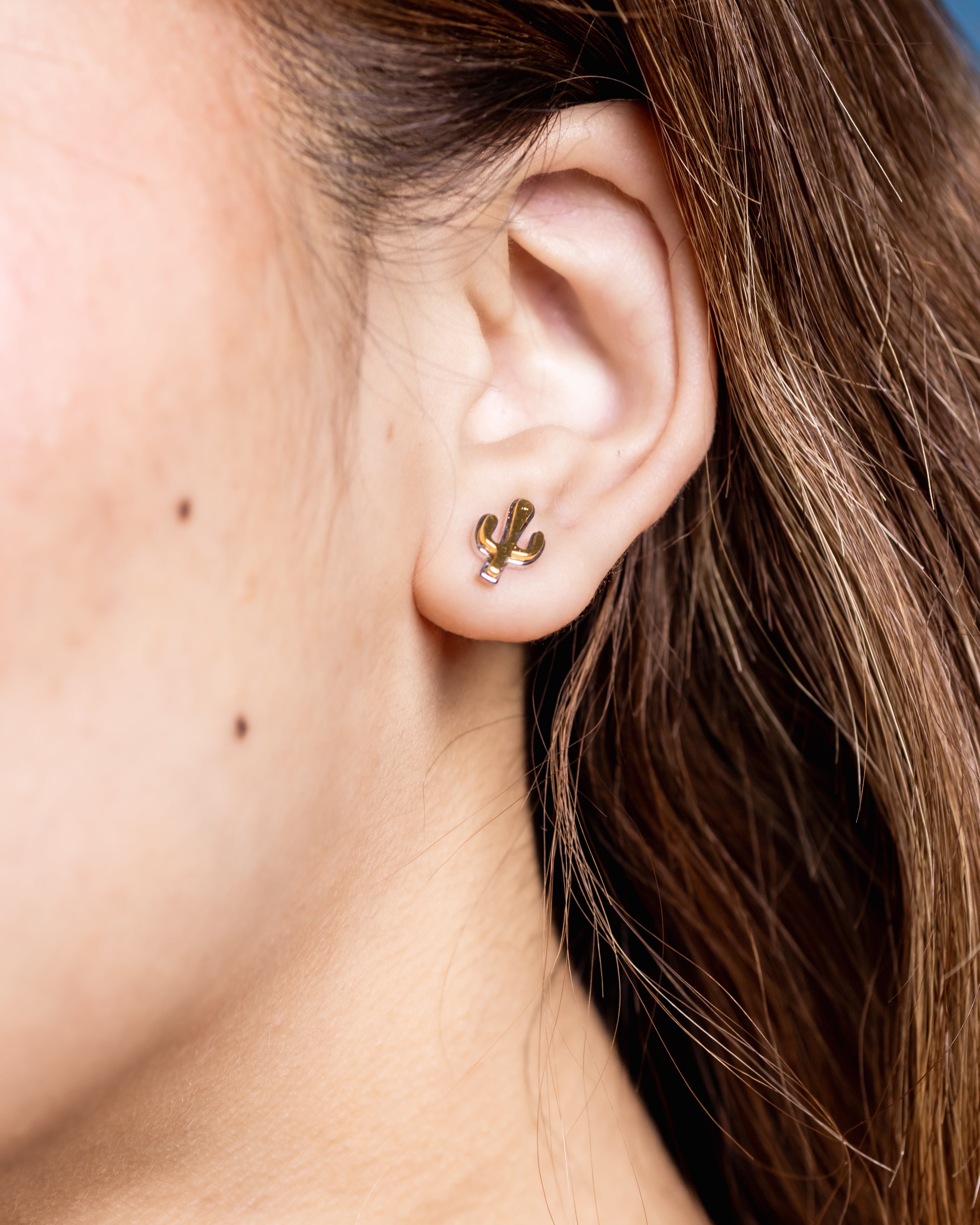 Two toned Cactus Earrings