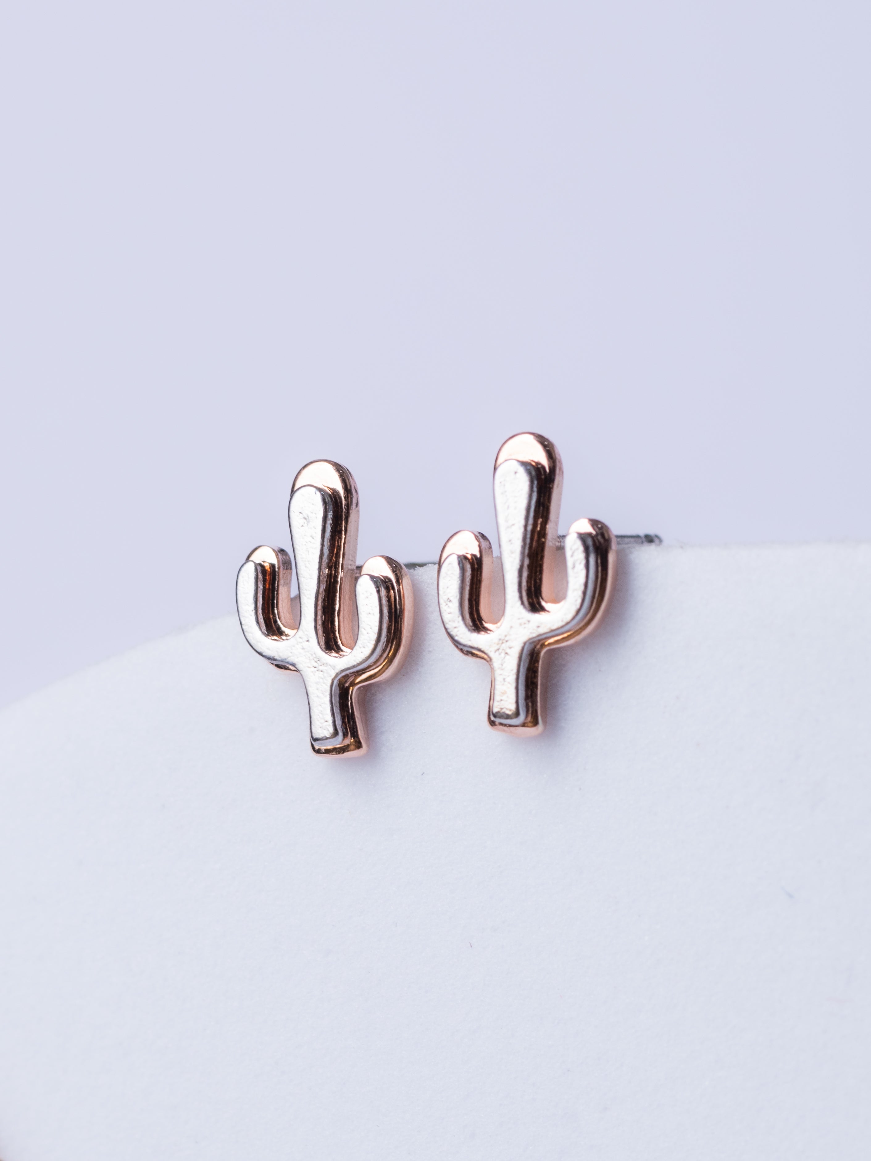 Two toned Cactus Earrings