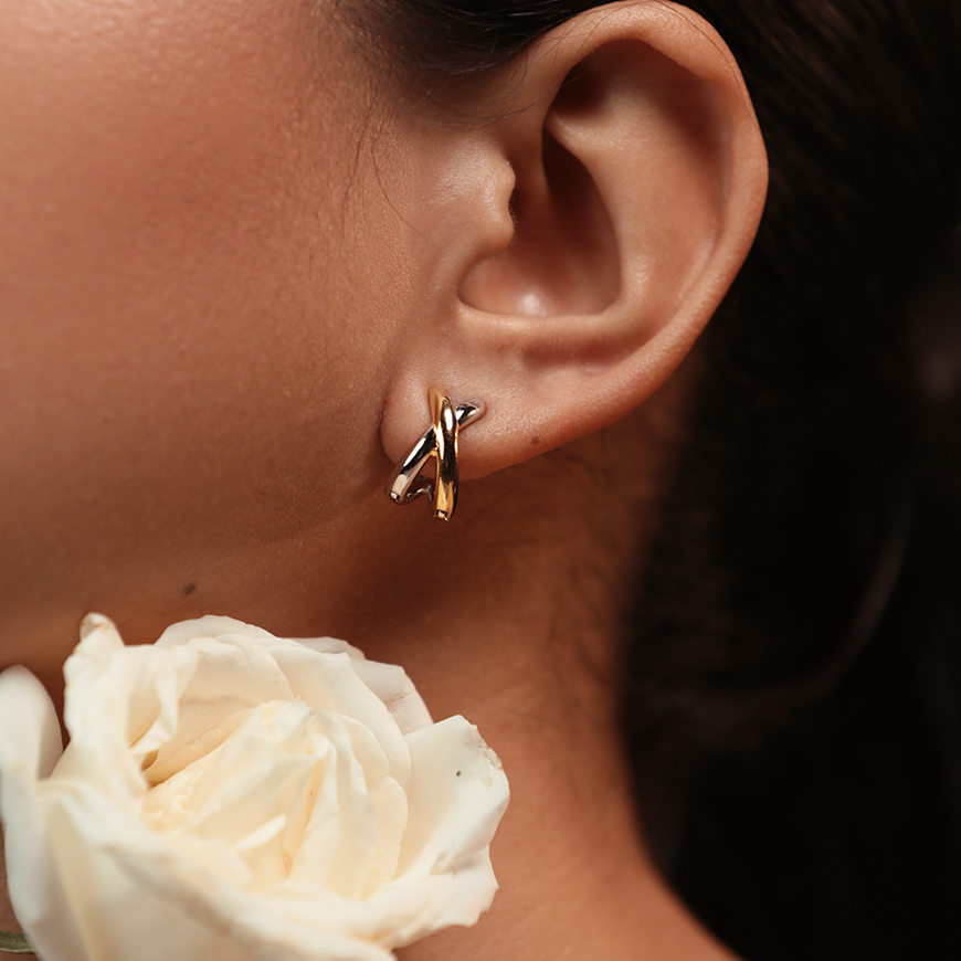 Star Crossed Lovers Two Tone Earrings