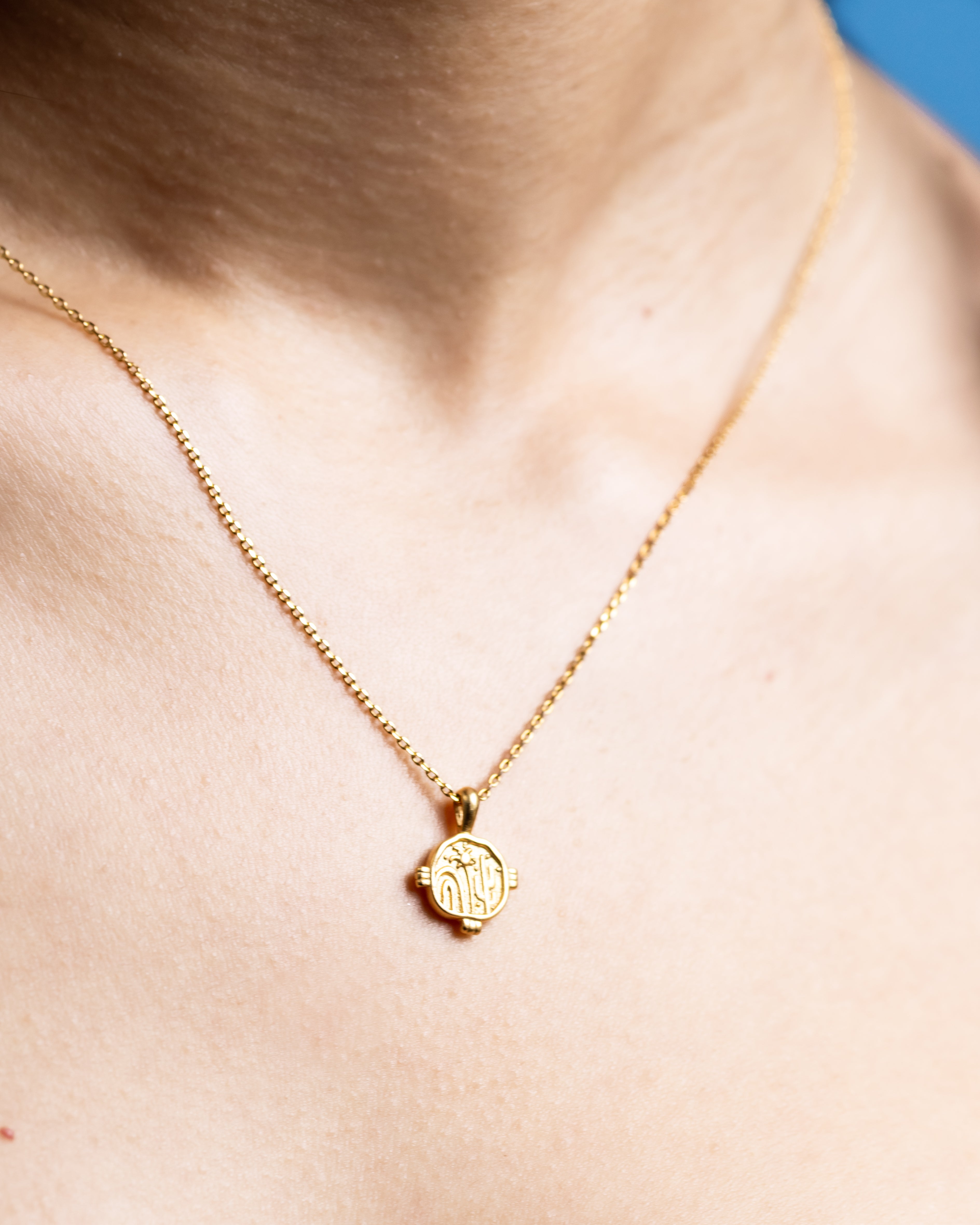 Desert Charm Necklace